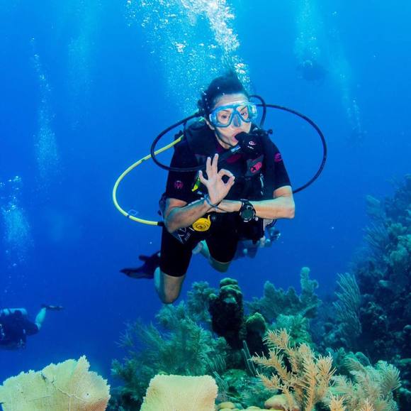 Meet your Posher, Noel - Picture 1 of 1